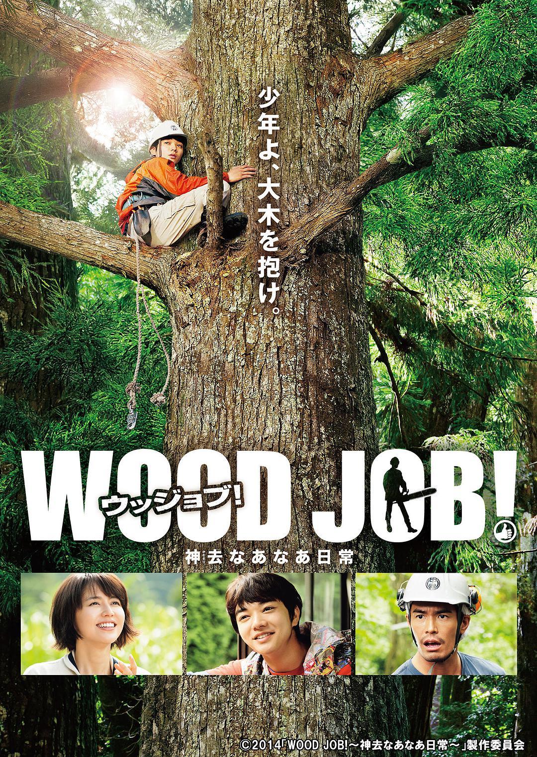 哪啊哪啊神去村WOOD JOB！ 蓝光高清版下载