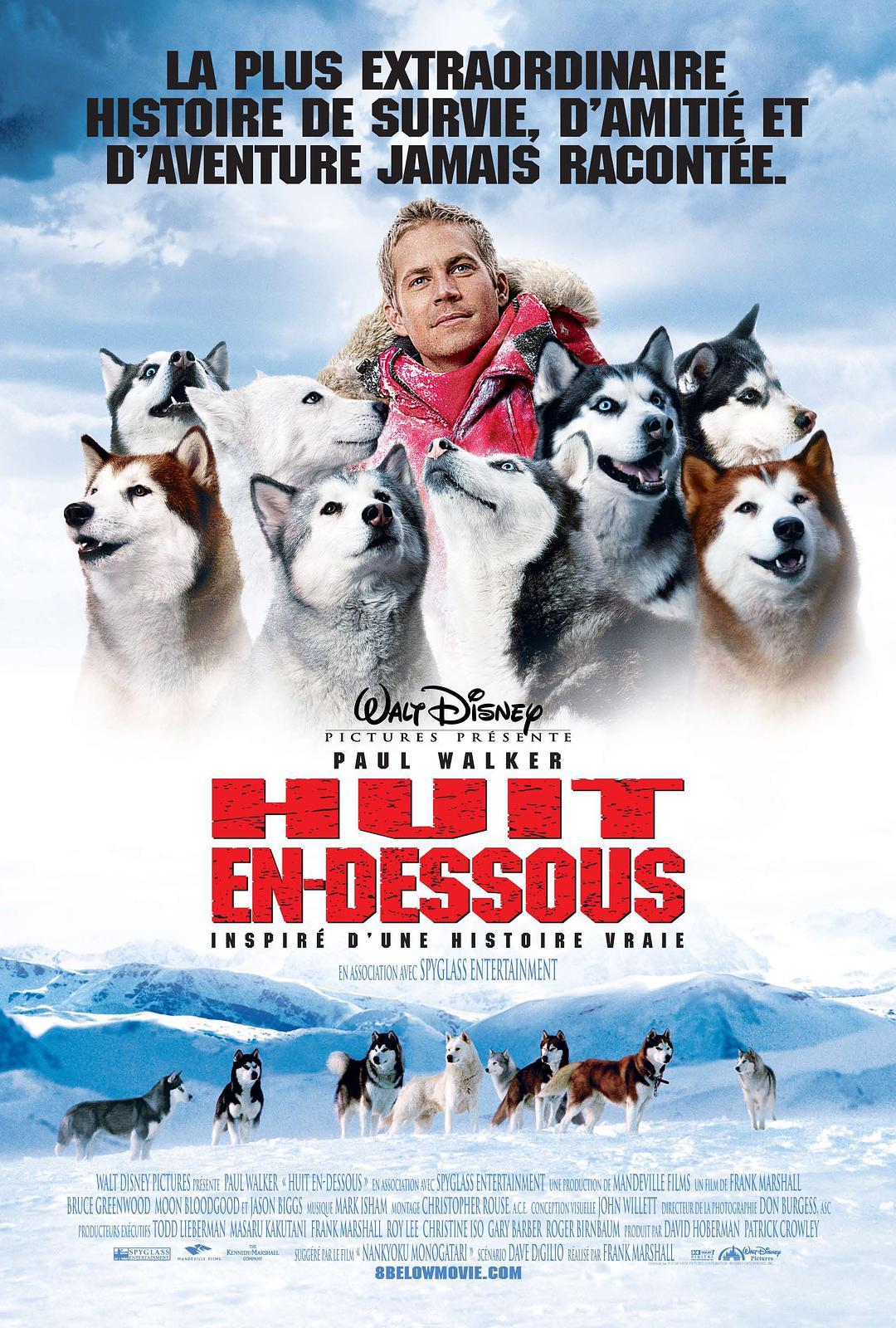 南极大冒险+高清MKV版