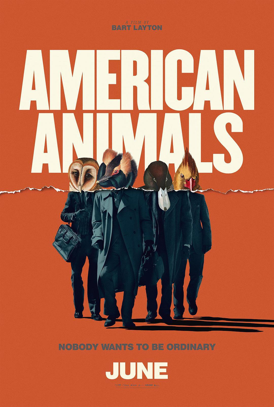 美国动物+高清MKV版  2018  American Animals
