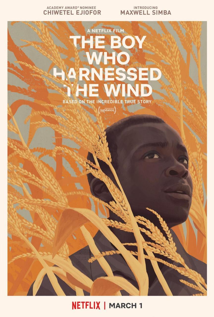 驭风男孩 WEB-DL版下载 2019 The Boy Who Harnessed the Wind