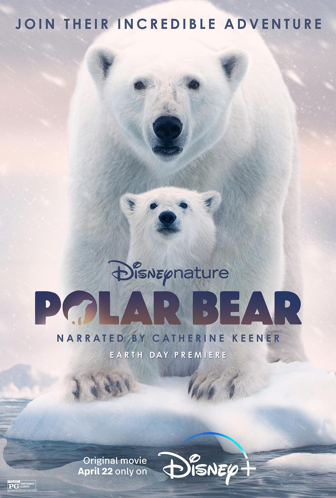 北极熊 WEB-DL版下载 2022 Polar Bear