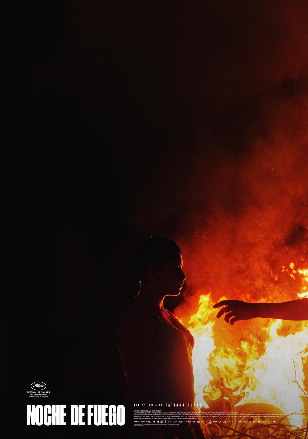 火之夜 WEB-DL版下载