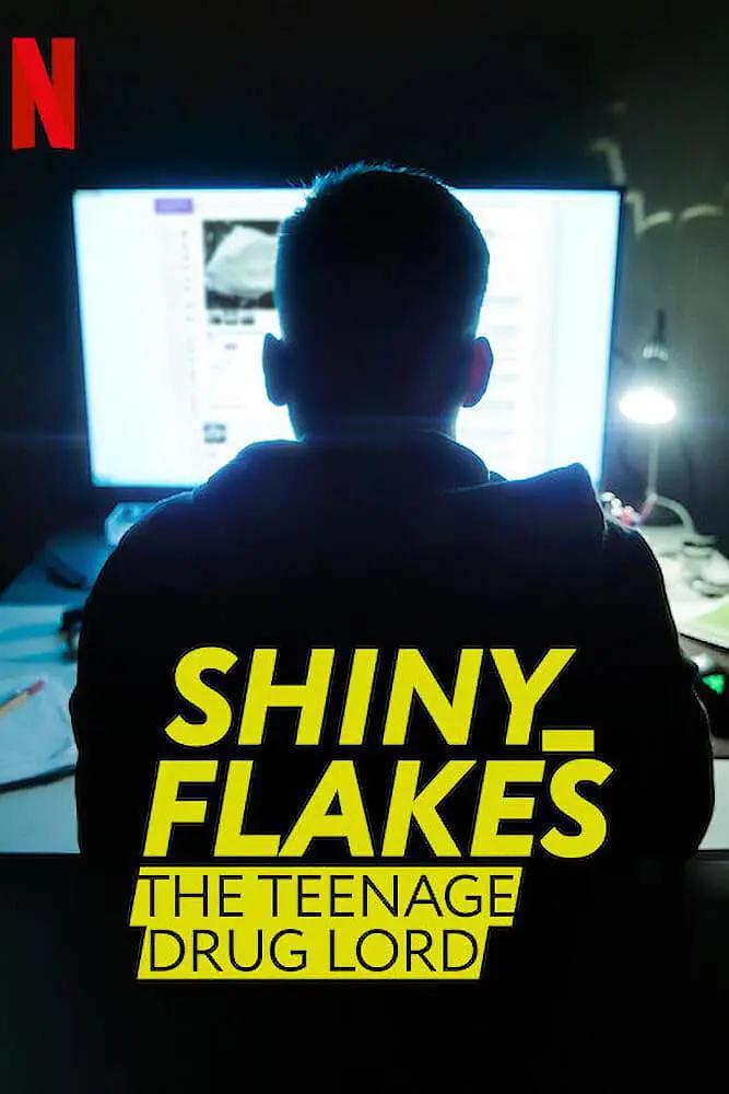 暗网青年毒枭 WEB-DL版下载 2021 Shiny_Flakes: The Teenage Drug Lord