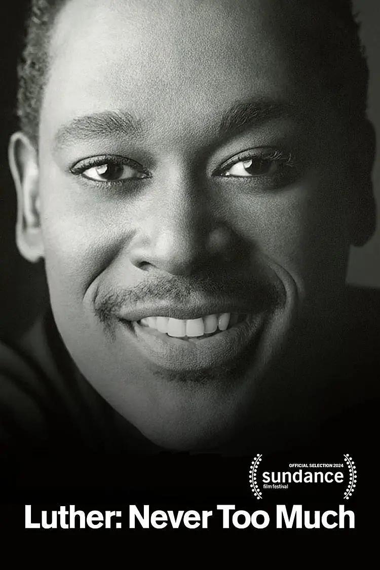 路德：永不嫌多 WEB-DL版下载 2024 Luther: Never Too Much