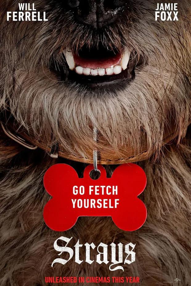 流浪狗 WEB-DL版下载